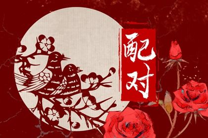 东西四命与婚房方位